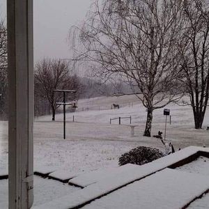 Meet your Posher, Carrie